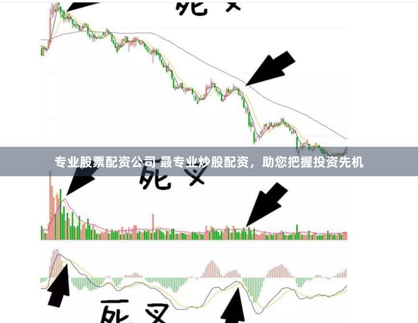 專業(yè)股票配資公司 最專業(yè)炒股配資，助您把握投資先機(jī)